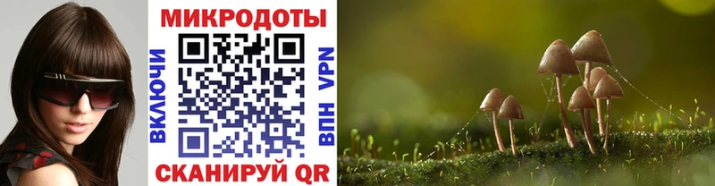 Галлюциногенные грибы Psilocybine cubensis  Сегежа 
