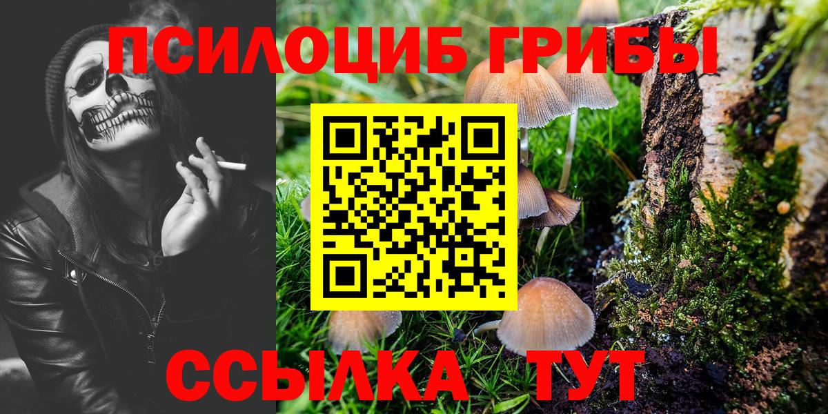 Галлюциногенные грибы ЛСД Сегежа