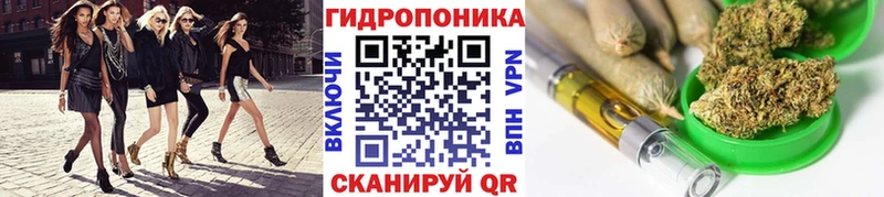 Канабис VHQ  продажа наркотиков  Сегежа 